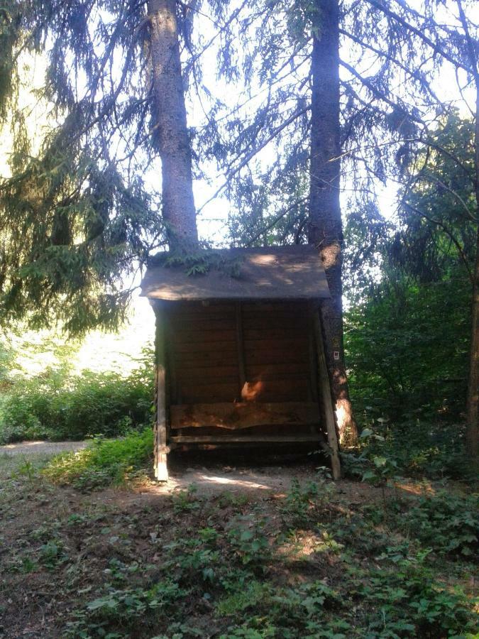 Fewo Am Neckarsteig Neckarsteinach Luaran gambar